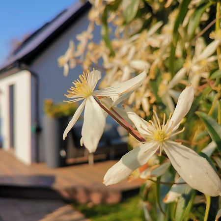 Hastings Casita, 'Little House' Self Contained Garden Lodge, Close To Town And Seafront מראה חיצוני תמונה