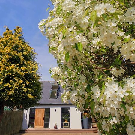 Hastings Casita, 'Little House' Self Contained Garden Lodge, Close To Town And Seafront מראה חיצוני תמונה