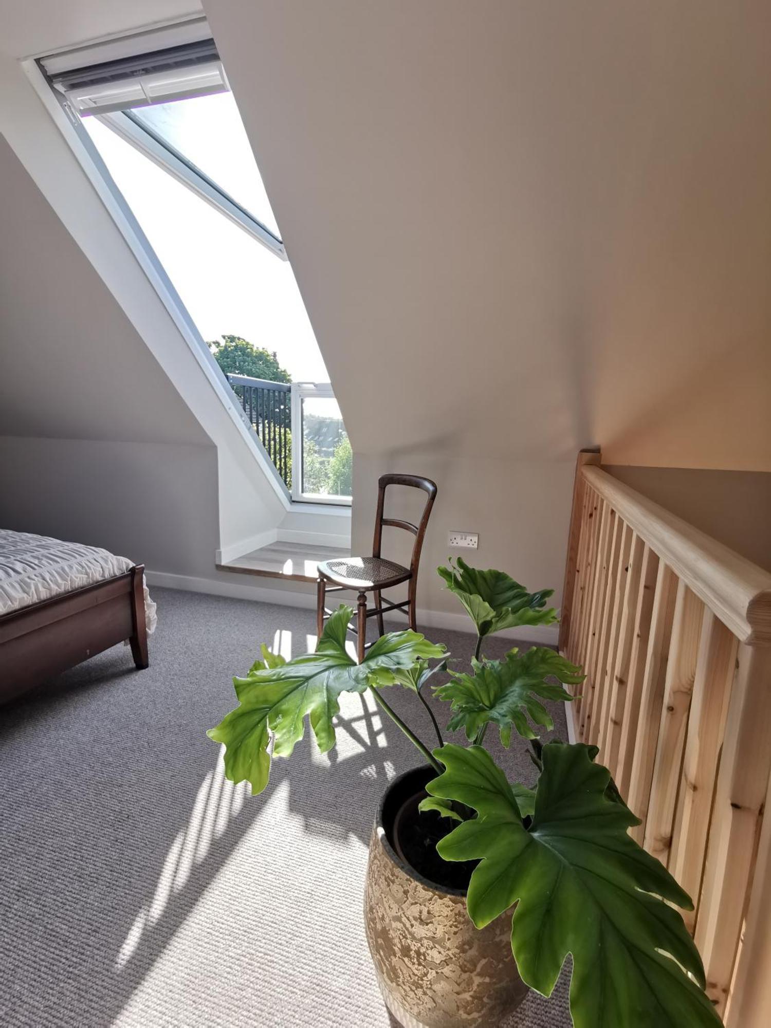 Hastings Casita, 'Little House' Self Contained Garden Lodge, Close To Town And Seafront מראה חיצוני תמונה