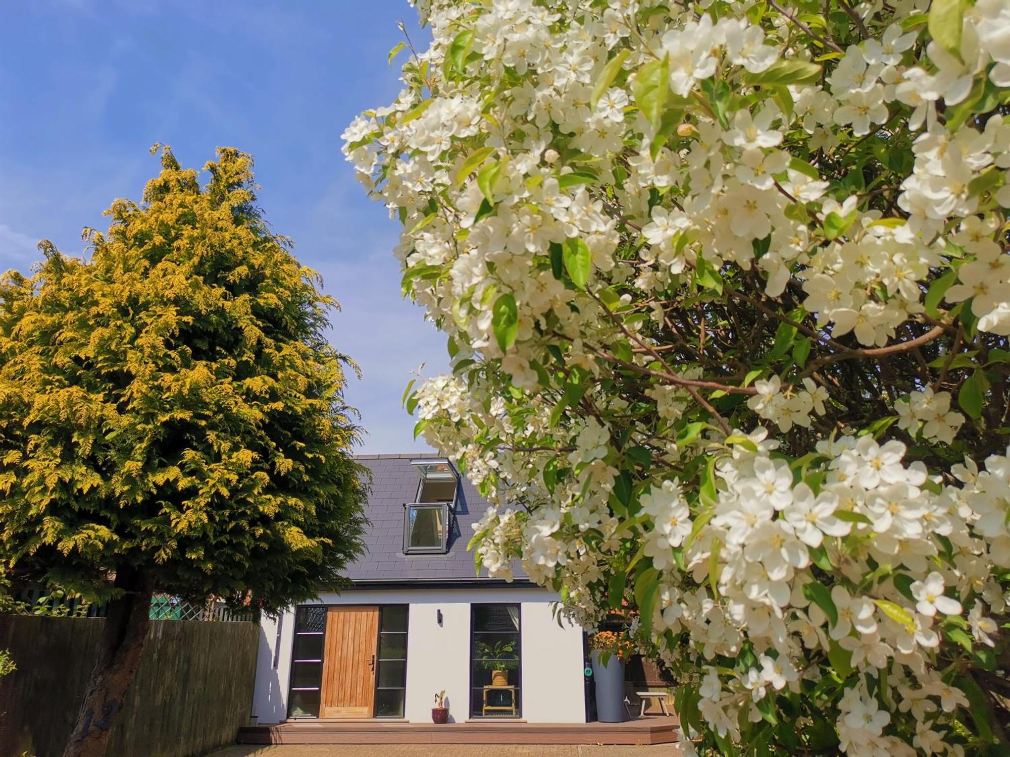 Hastings Casita, 'Little House' Self Contained Garden Lodge, Close To Town And Seafront מראה חיצוני תמונה
